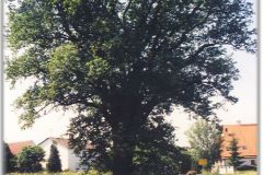 Sigmerthauser-Ortseingang